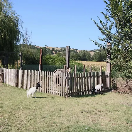 On Farm Amidst The Umbrian Hills Apartment