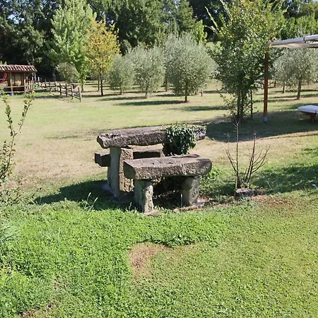 On Farm Amidst The Umbrian Hills Apartment *