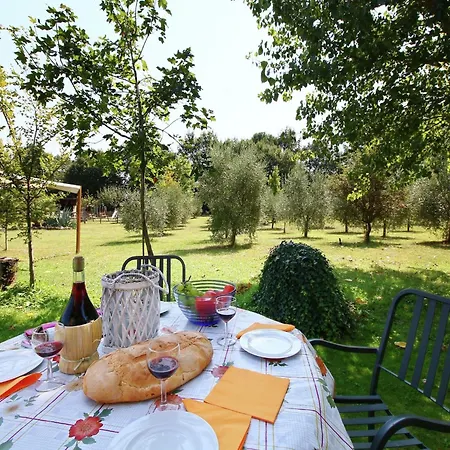 On Farm Amidst The Umbrian Hills